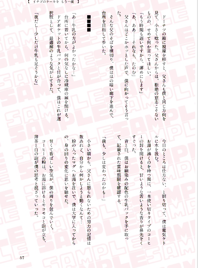 【斑鳩家】つぎはぎだらけの カタチでも 【匿名配送】