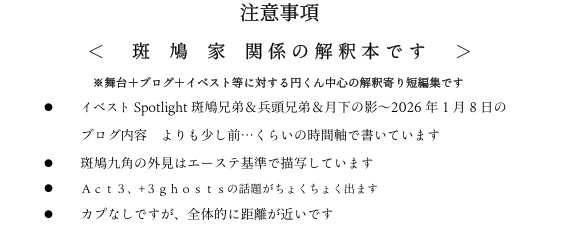 【斑鳩家】つぎはぎだらけの カタチでも 【匿名配送】