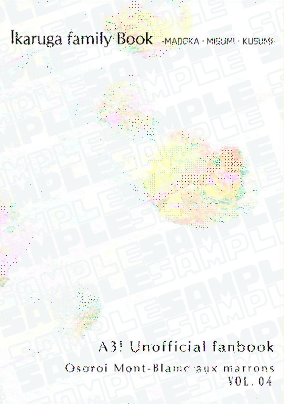 【斑鳩家】つぎはぎだらけの カタチでも 【匿名配送】