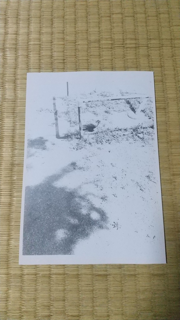 ユートピアは心臓にある