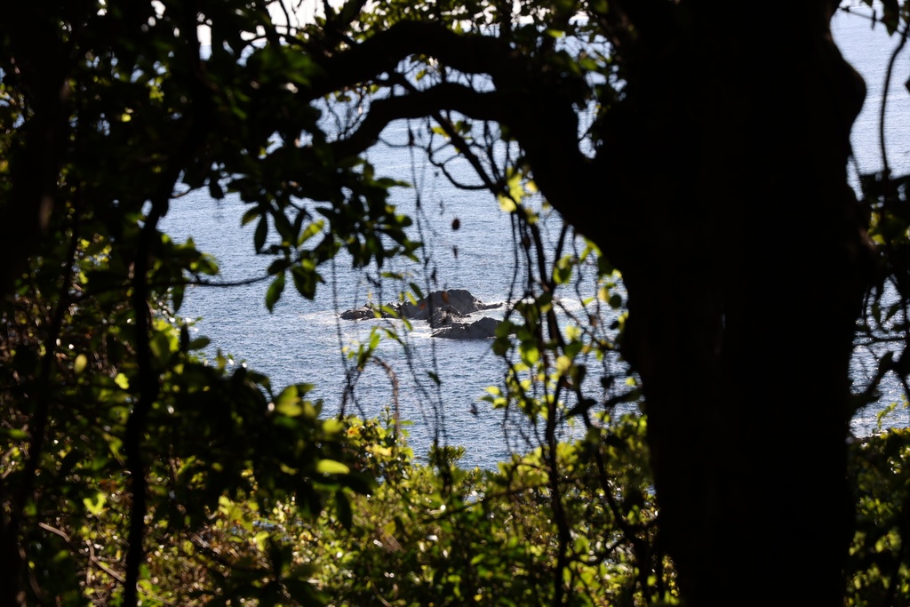 【商用利用OK】風景写真素材集｜足摺岬と自然の風景15枚