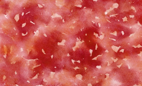 野良の水彩テクスチャ01