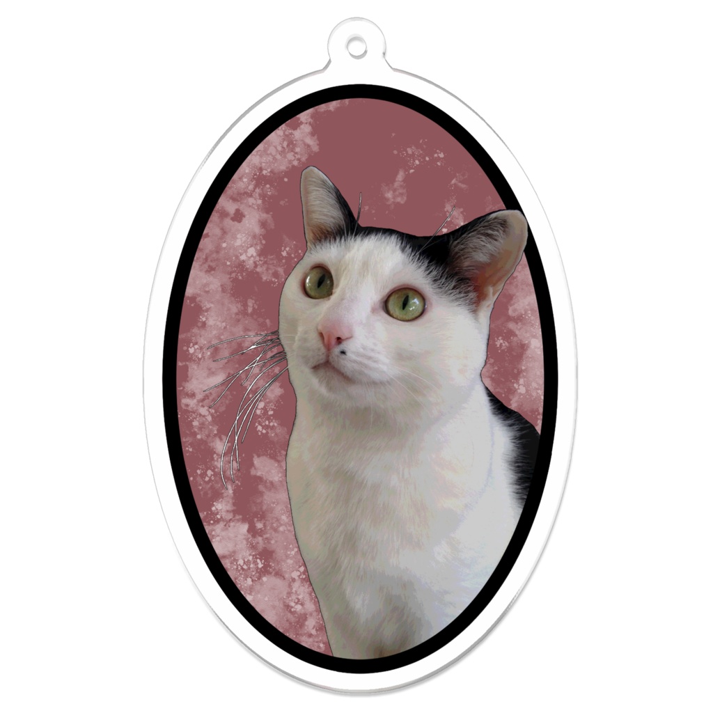 うちの猫（なっちゃん）