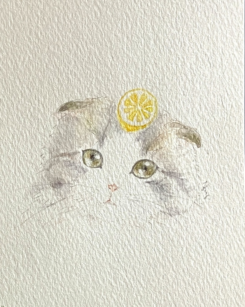 【額なし水彩原画】Cat Face (cat × lemon)