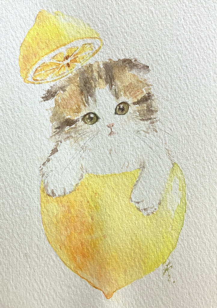 【額なし水彩原画】Cat In a Lemon