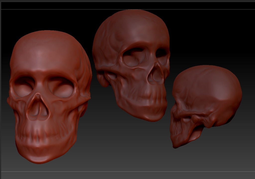 頭蓋骨　Zbrush ZPR形式