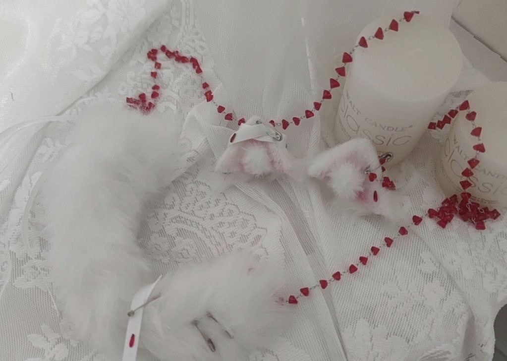 【9月】限定 病院猫 MDD/DD ドール用 しっぽ 耳