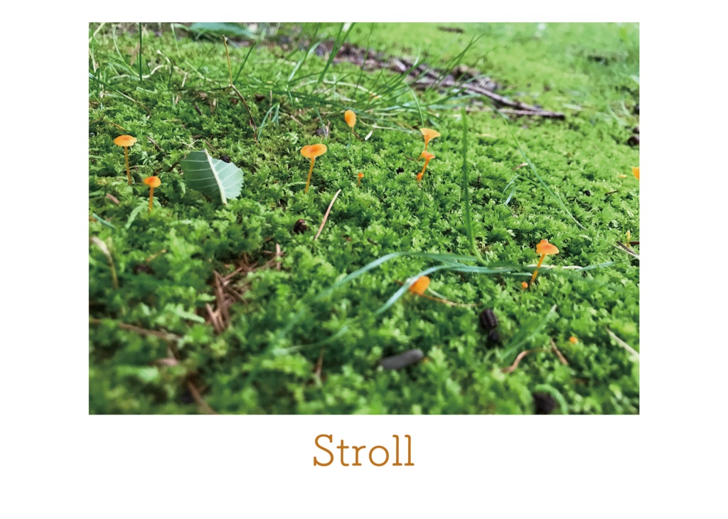 Stroll