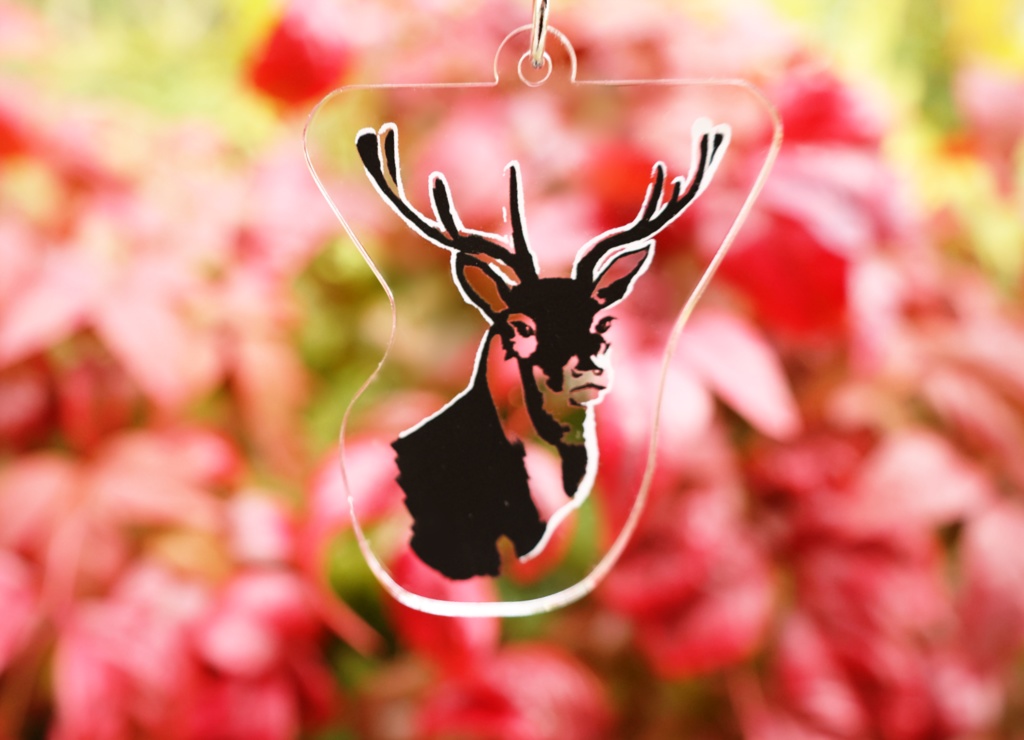 ビューアニマル