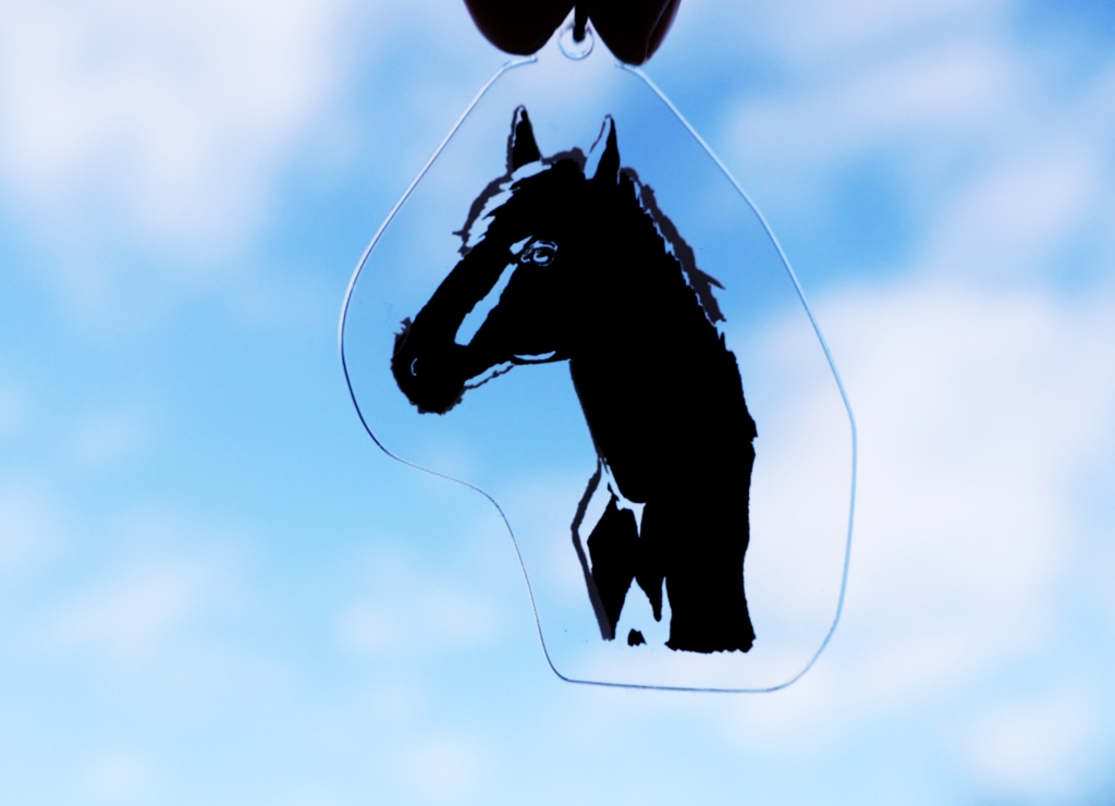 ビューアニマル