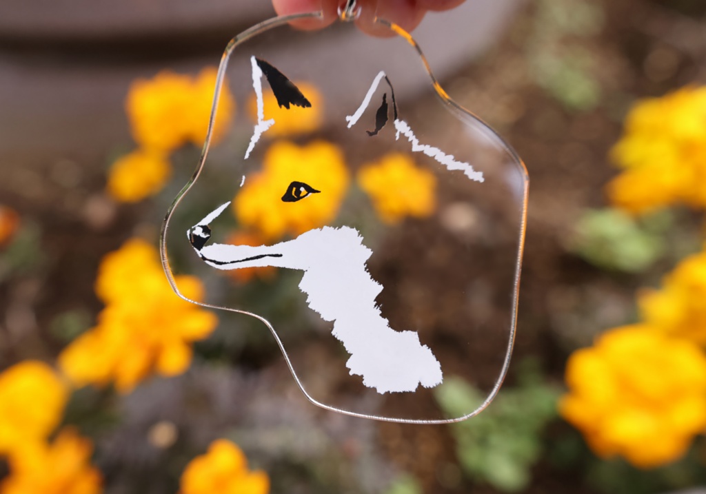 ビューアニマル