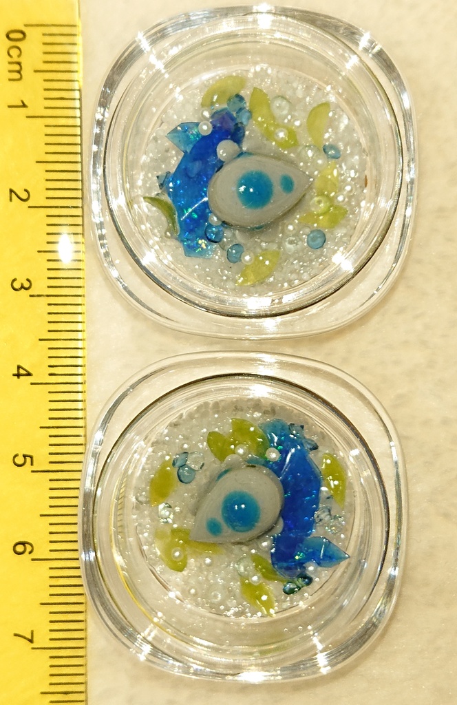 結晶トカゲの飼育セット