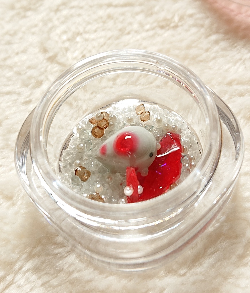 赤結晶トカゲの飼育セット