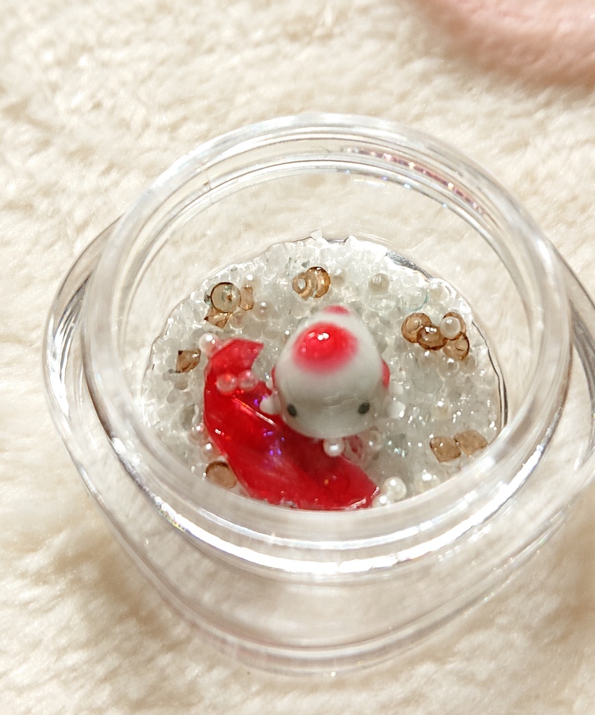 赤結晶トカゲの飼育セット