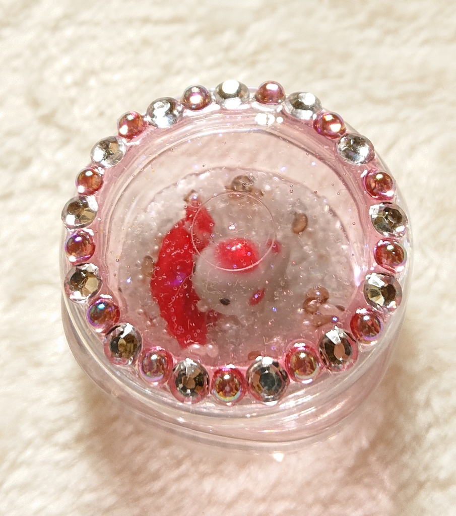 赤結晶トカゲの飼育セット