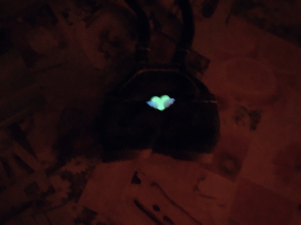 ケツが光るサロペット