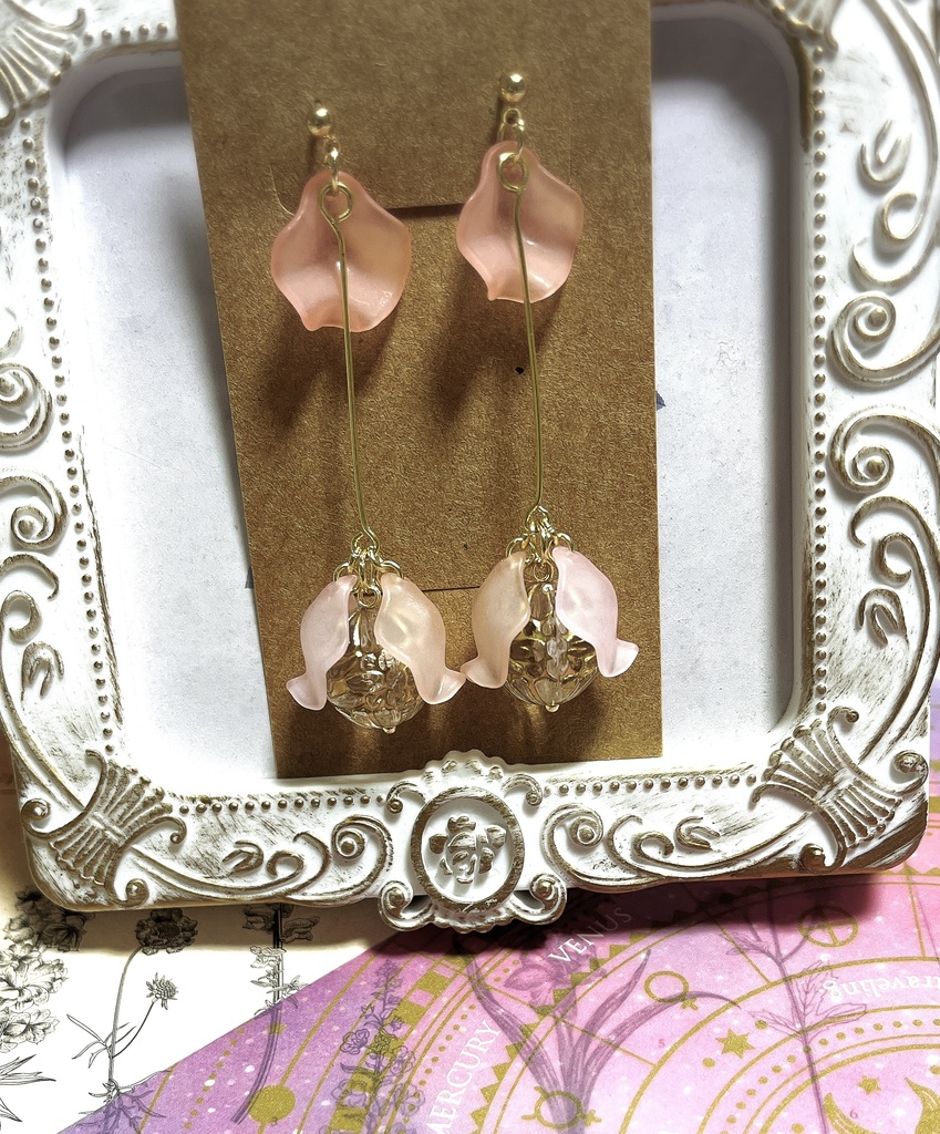 夜の標本箱「月果(ツキノミ)」