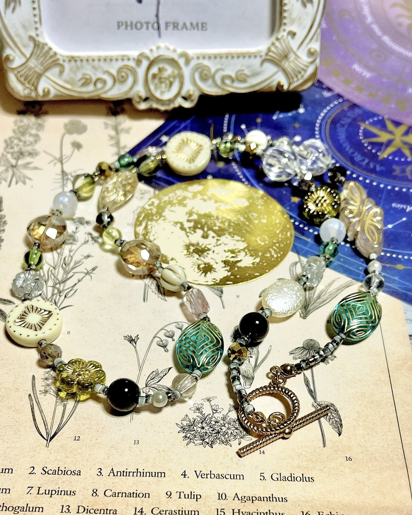 夜の標本箱「星界観測」