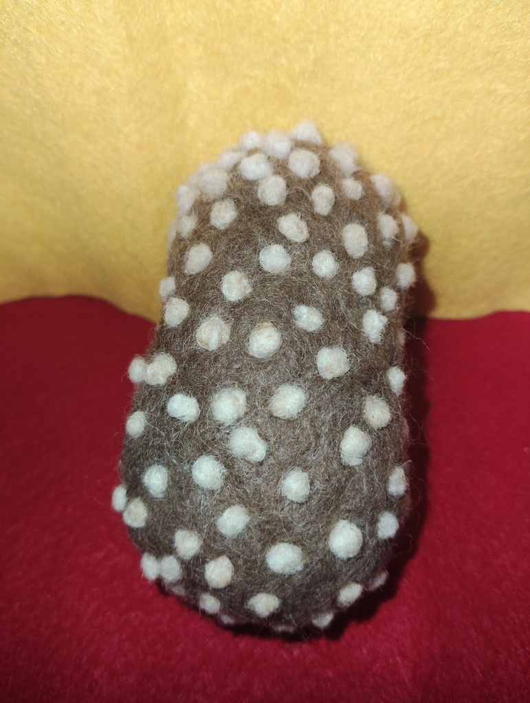 起き上がれないハリネズミ