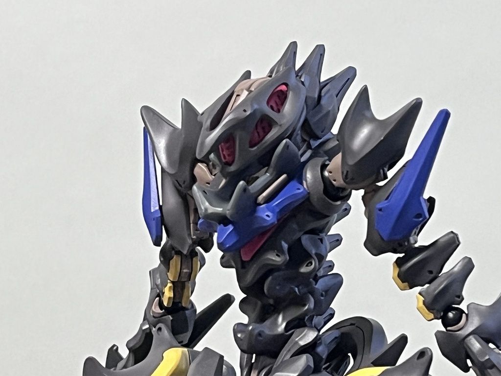 バイシャーグー