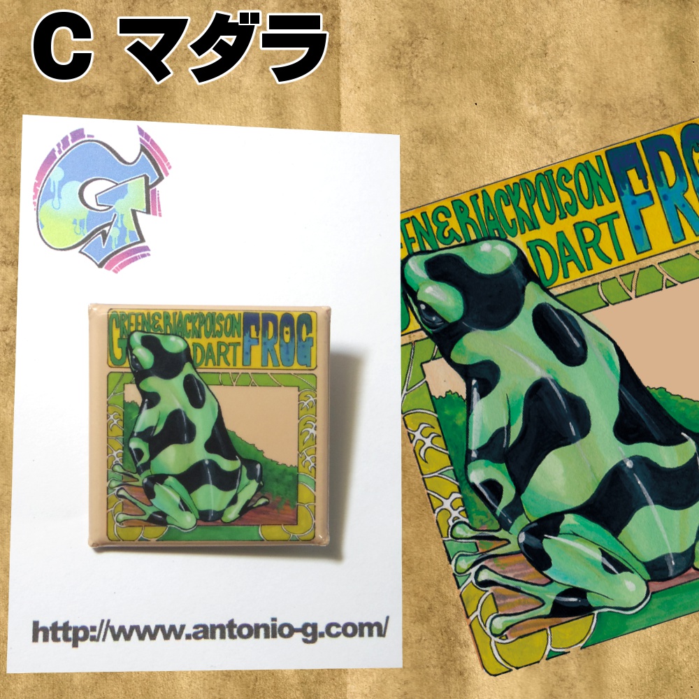 ヤドクガエル缶バッチ