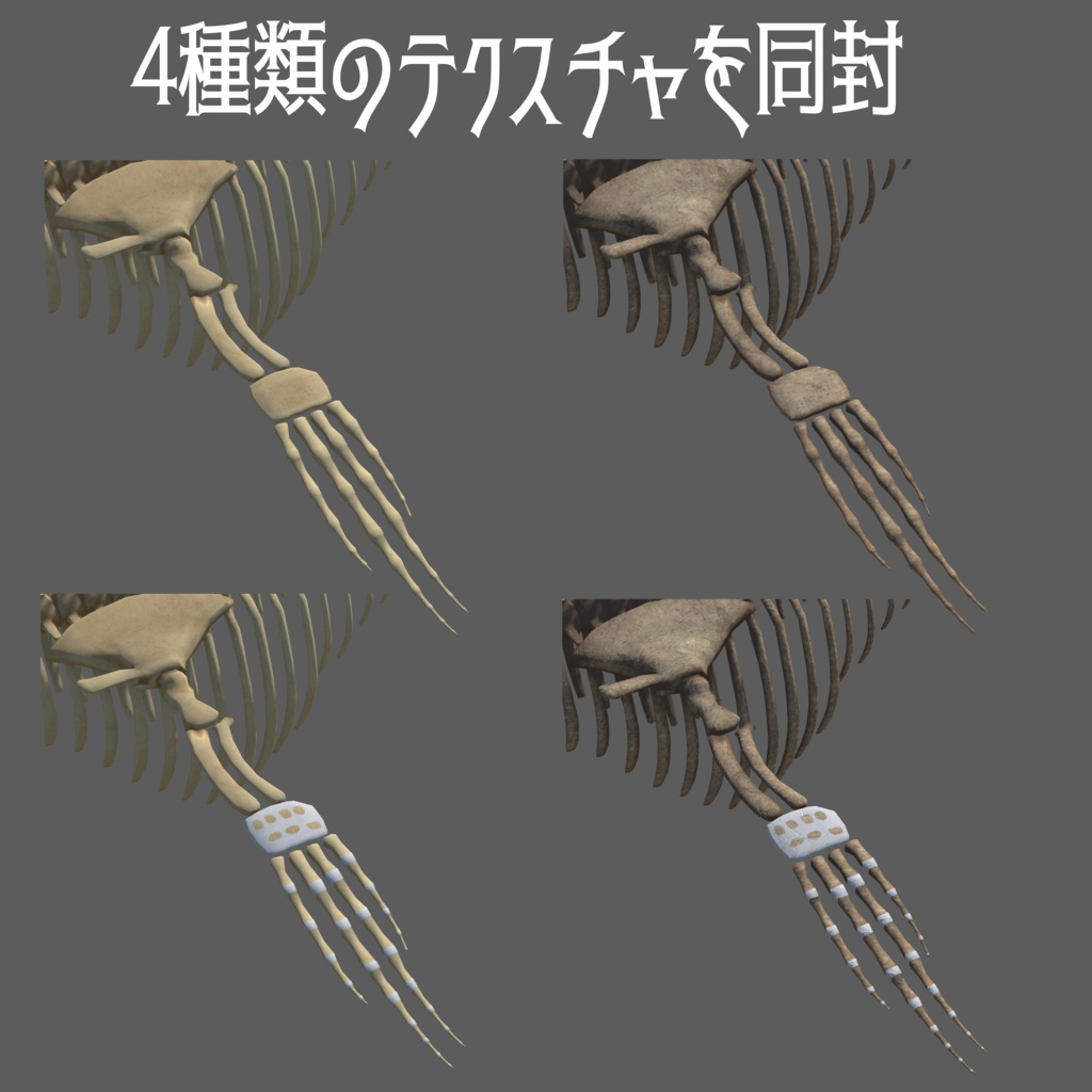 【3Dモデル】シロナガスクジラの骨格標本【VRCワールド向け】