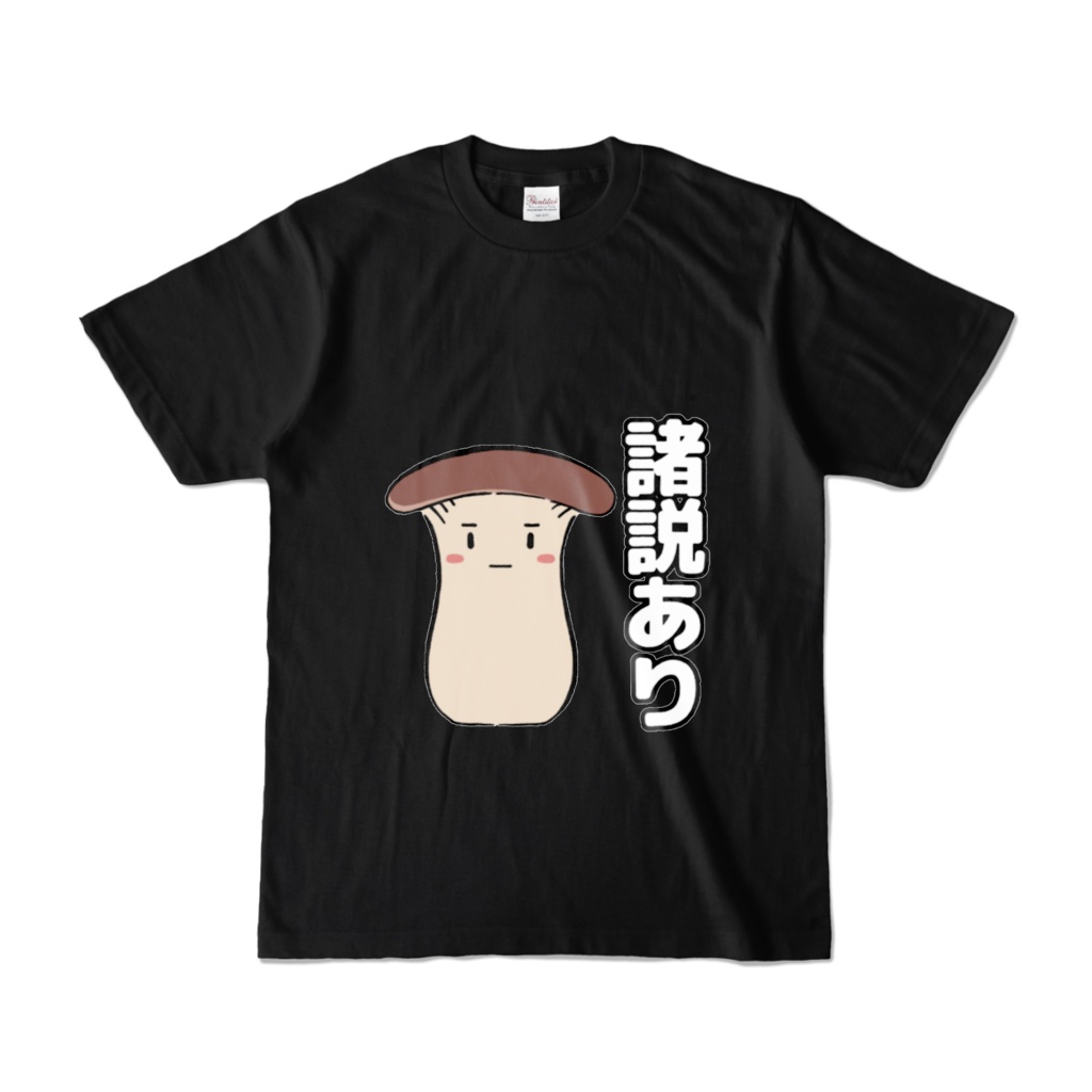 【常設】諸説あり【黒色Tシャツ】