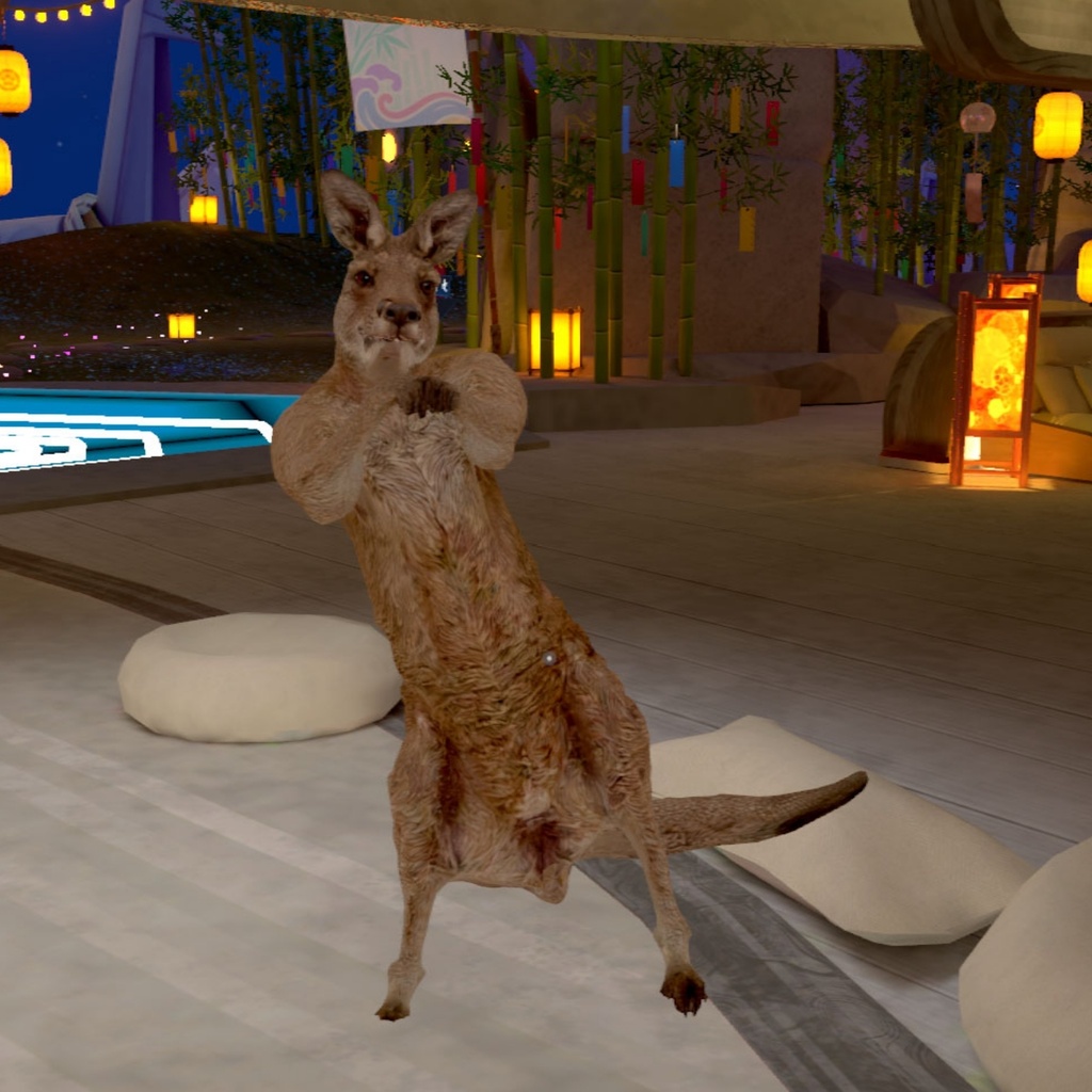 オリジナル3Dモデル:リアルカンガルー kangaroo