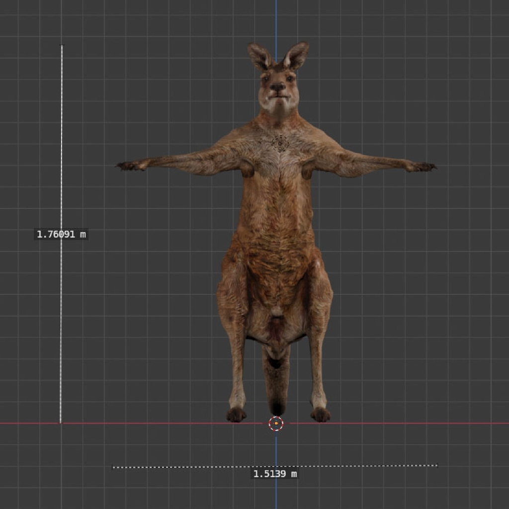 オリジナル3Dモデル:リアルカンガルー kangaroo
