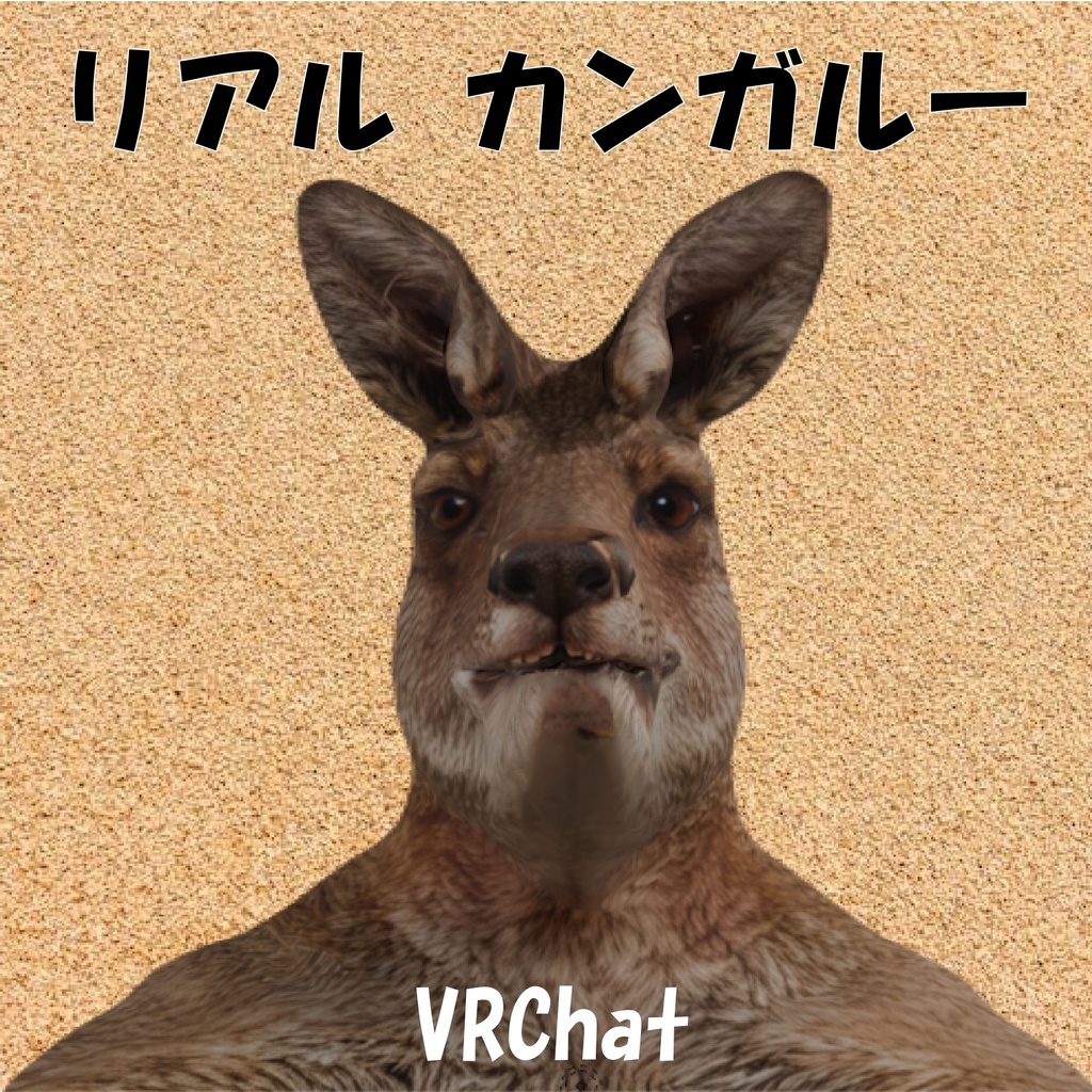 オリジナル3Dモデル:リアルカンガルー kangaroo