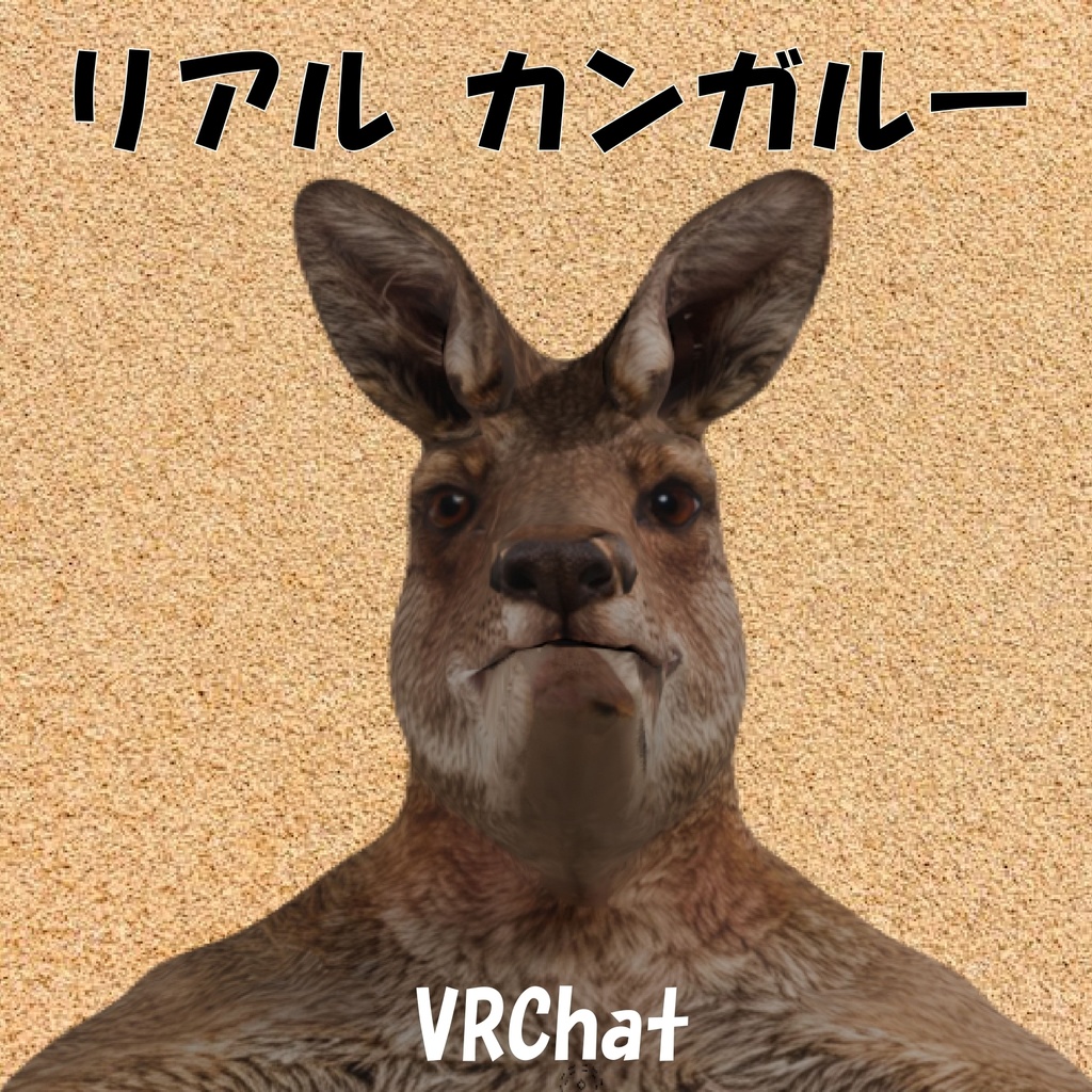オリジナル3Dモデル:リアルカンガルー kangaroo