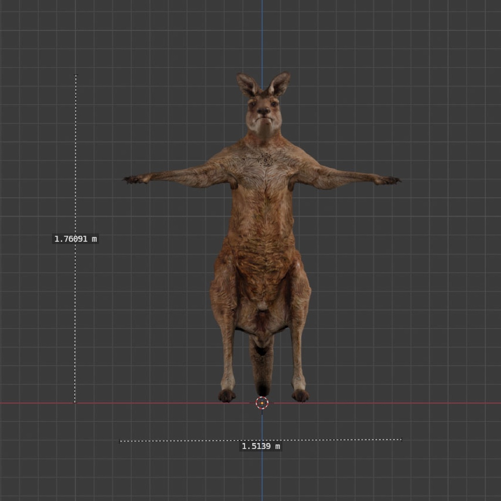 オリジナル3Dモデル:リアルカンガルー kangaroo