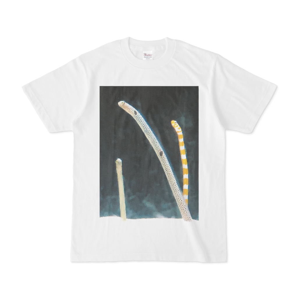 チンアナゴTシャツ