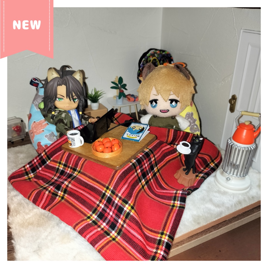 2/25(日)11時~ こたつ単品