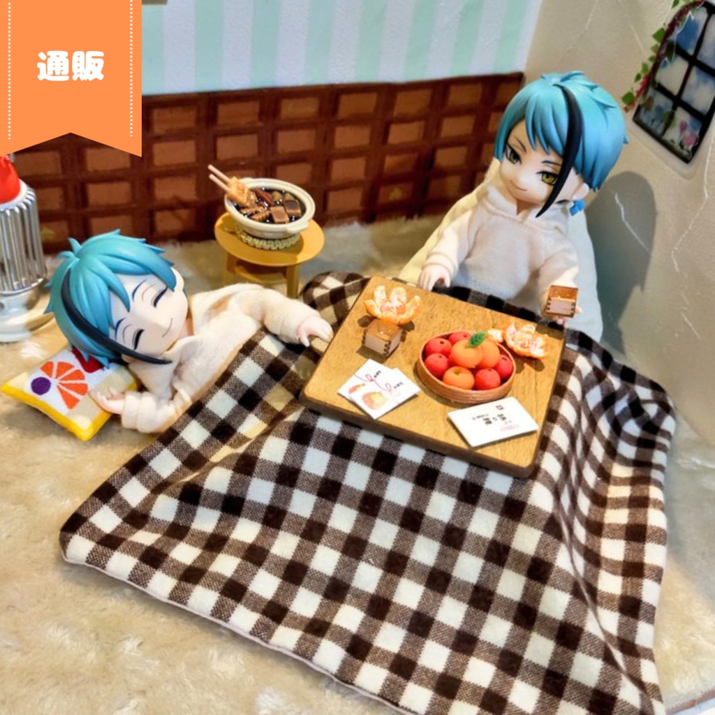 2/25(日)11時~ こたつ単品