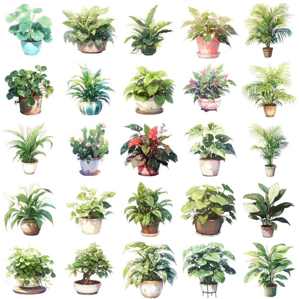 【透過素材】観葉植物50枚(アロエベラ,アレカヤシ,ポトス,ミドリノスズ,多肉植物)