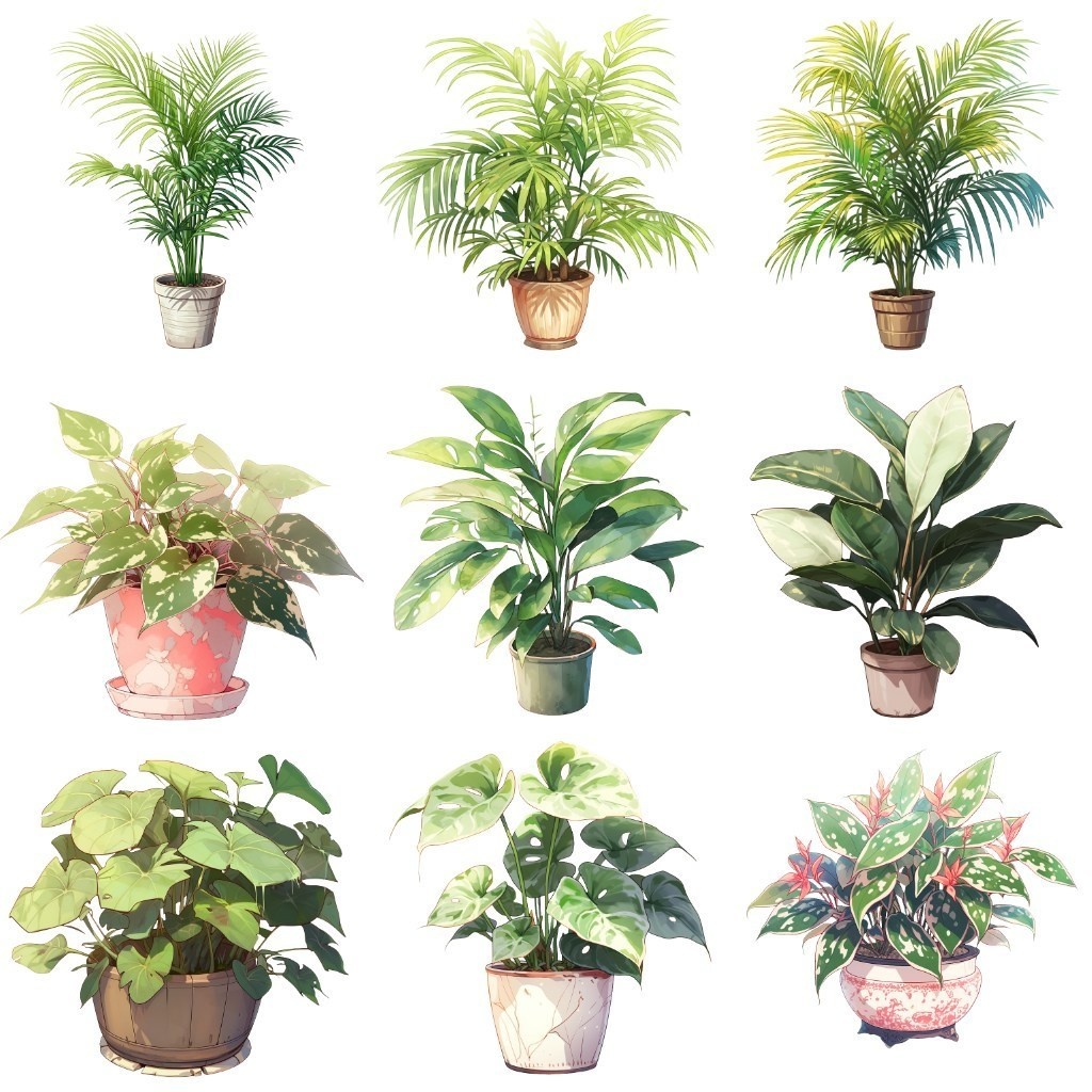 【透過素材】観葉植物50枚(アロエベラ,アレカヤシ,ポトス,ミドリノスズ,多肉植物)