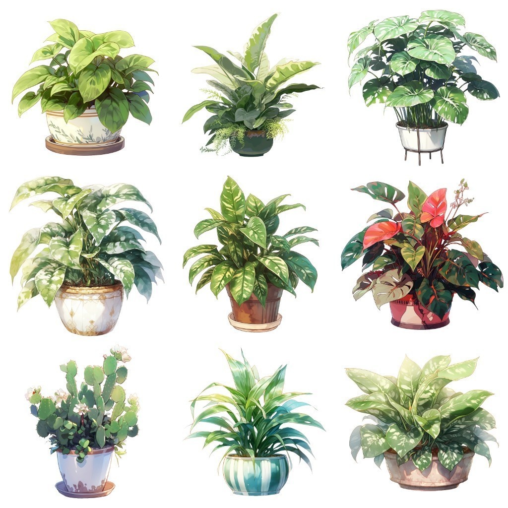 【透過素材】観葉植物50枚(アロエベラ,アレカヤシ,ポトス,ミドリノスズ,多肉植物)