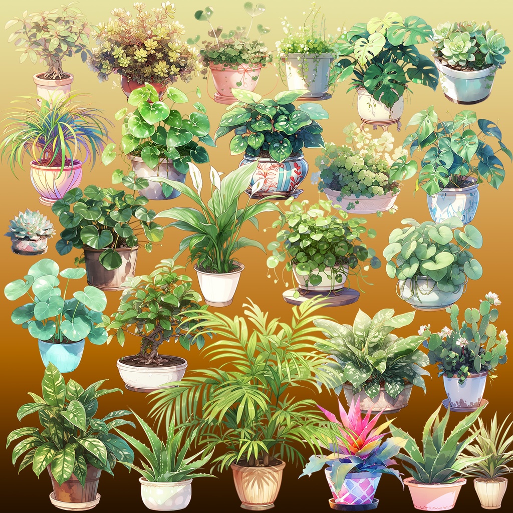 【透過素材】観葉植物50枚(アロエベラ,アレカヤシ,ポトス,ミドリノスズ,多肉植物)