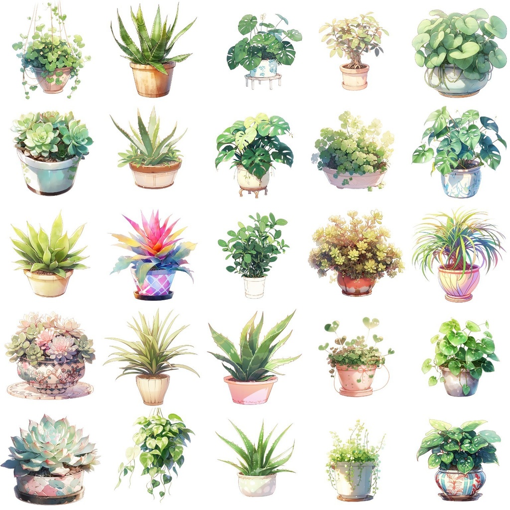 【透過素材】観葉植物50枚(アロエベラ,アレカヤシ,ポトス,ミドリノスズ,多肉植物)