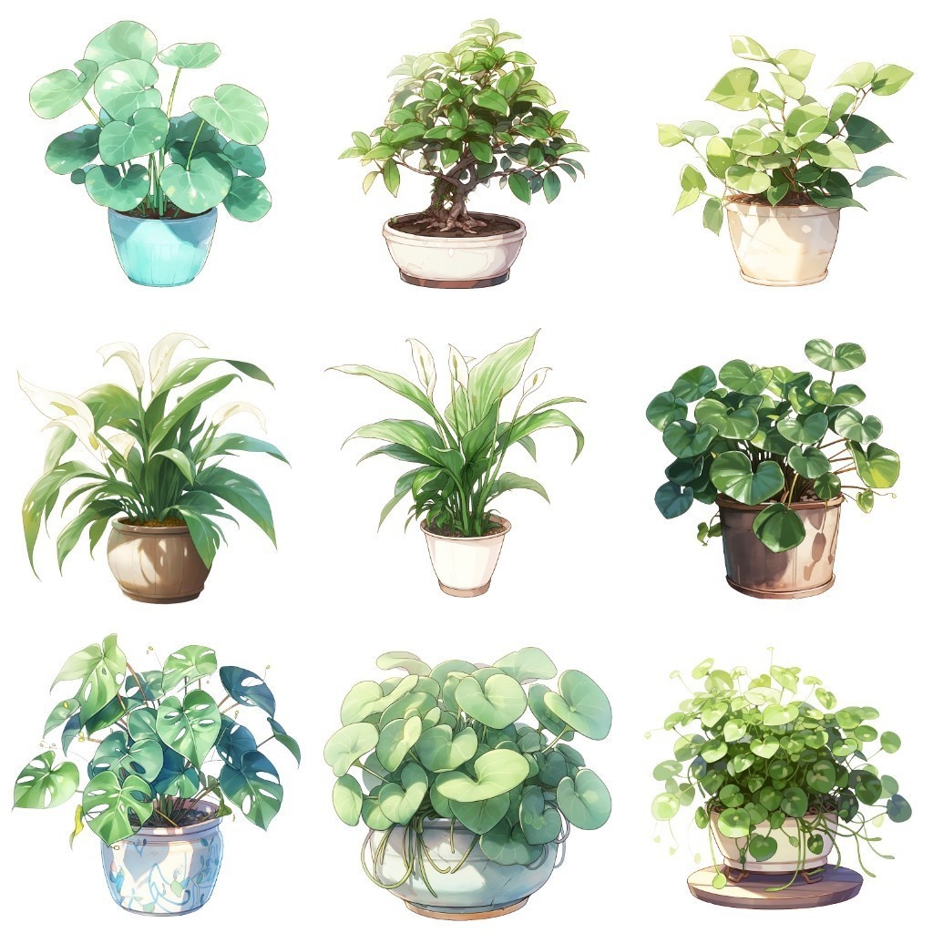 【透過素材】観葉植物50枚(アロエベラ,アレカヤシ,ポトス,ミドリノスズ,多肉植物)