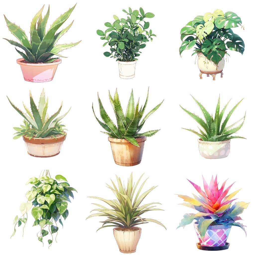 【透過素材】観葉植物50枚(アロエベラ,アレカヤシ,ポトス,ミドリノスズ,多肉植物)