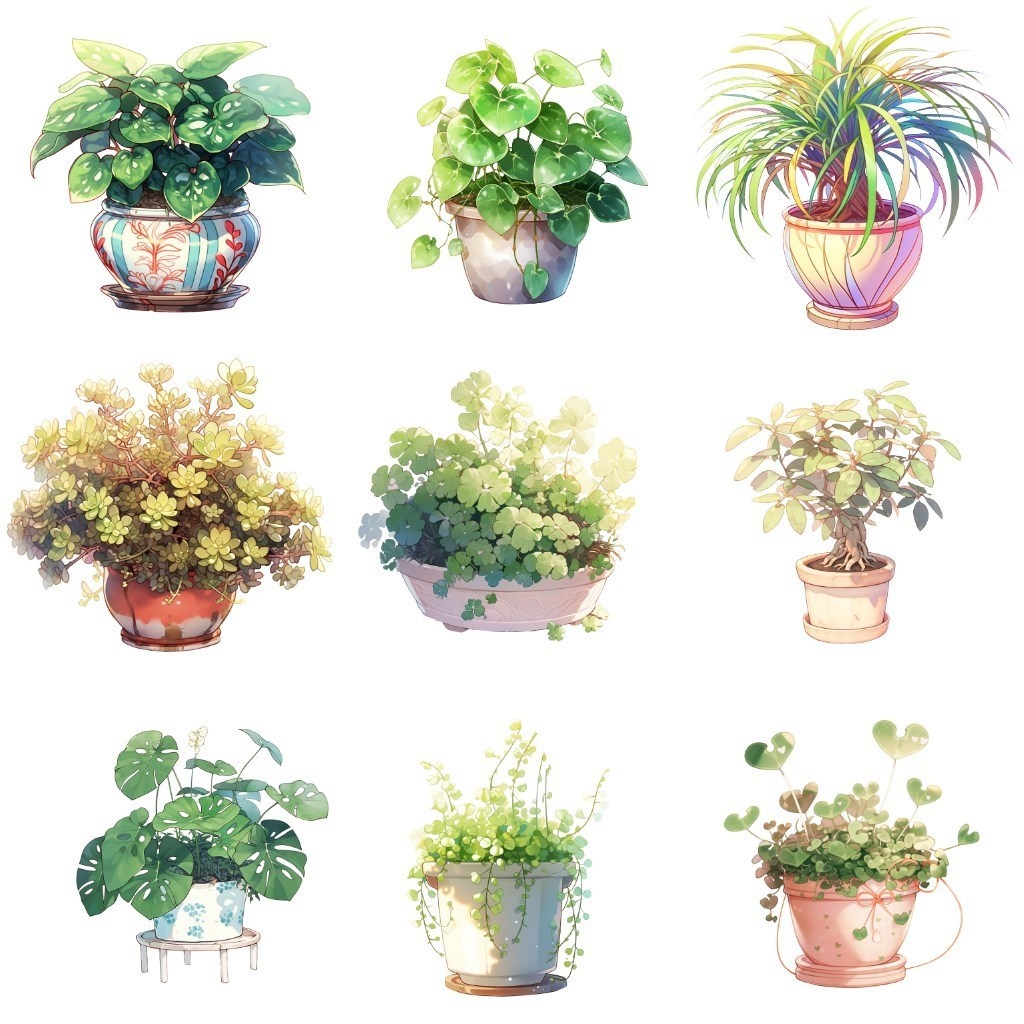 【透過素材】観葉植物50枚(アロエベラ,アレカヤシ,ポトス,ミドリノスズ,多肉植物)