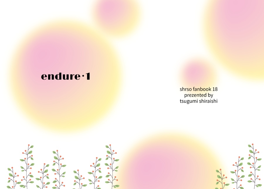 endure･1 ❤️💚