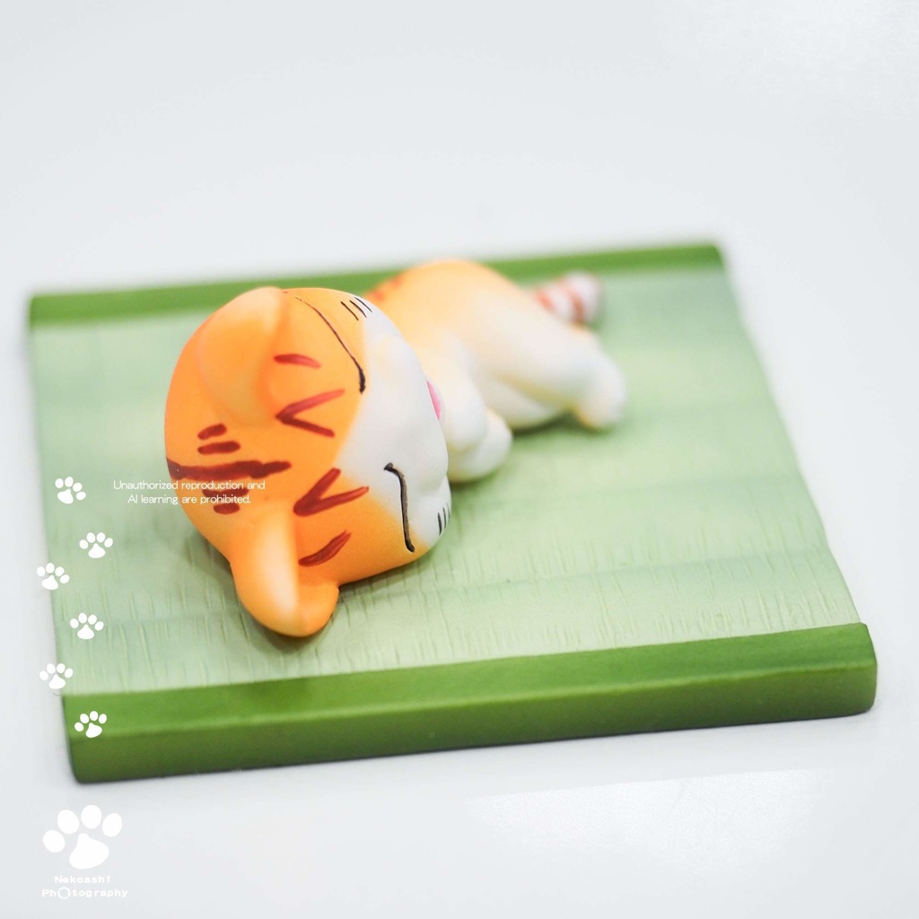じゅくすいねこ