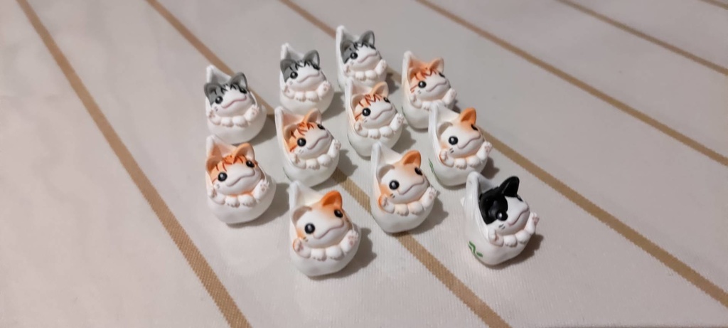 袋に入っちゃう猫