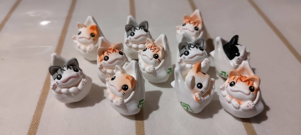 袋に入っちゃう猫