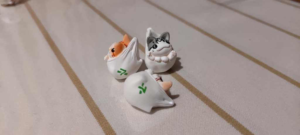 袋に入っちゃう猫