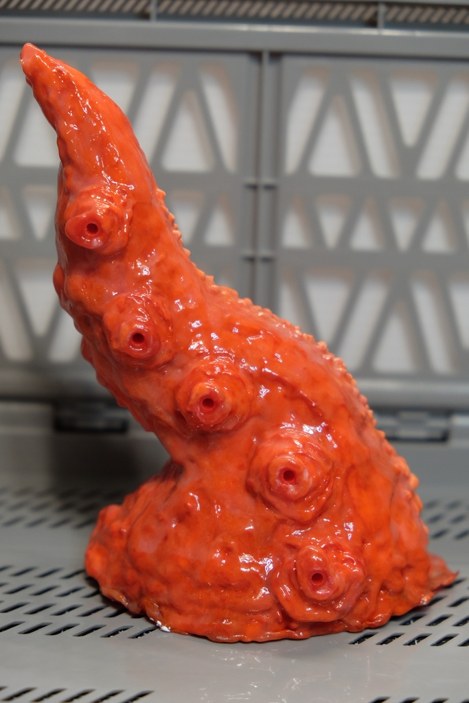 【触手生物】コルヌコピア(触手別売り)