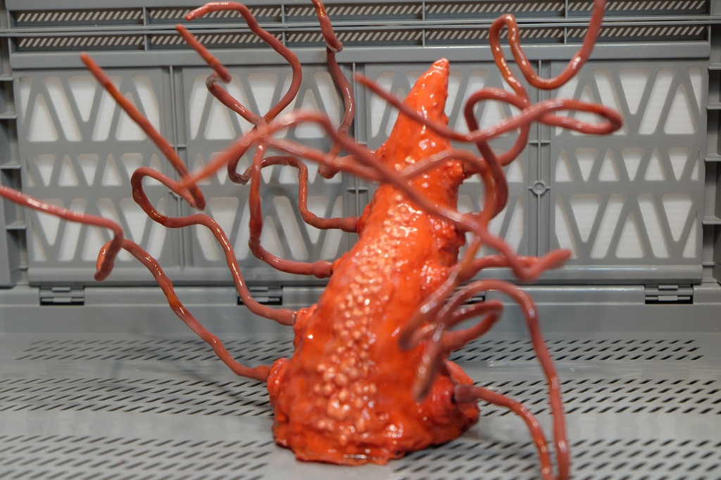 【触手生物】コルヌコピア(触手別売り)